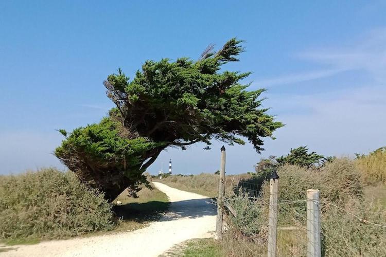 Les Hameaux Des Sables Vignie Saint Georges D Ol Ron Holiday Home Not Detached Exterior photo